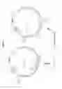 Fig. 20 - Recombinant adenoviruses and use thereof