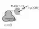 Fig. 01 - Cas9 fusion molecules, gene editing systems, and methods of use thereof