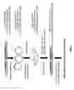 Fig. 06 - Method For In Vivo High-Throughput Evaluating Of RNA-Guided Nuclease Activity