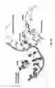 Fig. 40 - Method For In Vivo High-Throughput Evaluating Of RNA-Guided Nuclease Activity