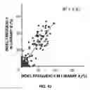 Fig. 44 - Method For In Vivo High-Throughput Evaluating Of RNA-Guided Nuclease Activity