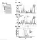 Fig. 17 - Botulinum neurotoxin and its derivatives