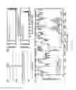 Fig. 07 - Compositions and methods of improving specificity in genomic engineering using RNA-guided endonucleases