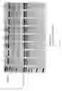 Fig. 49 - Compositions and methods of improving specificity in genomic engineering using RNA-guided endonucleases