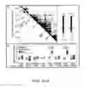 Fig. 04 - Compositions and methods for manipulation of adipocyte energy consumption regulatory pathway