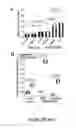 Fig. 14 - Compositions and methods for manipulation of adipocyte energy consumption regulatory pathway