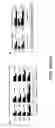 Fig. 19 - Compositions and methods for manipulation of adipocyte energy consumption regulatory pathway