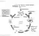 Fig. 02 - Glypican-3 specific aptamer and use thereof
