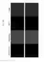 Fig. 24 - Glypican-3 specific aptamer and use thereof