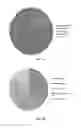 Fig. 11 - Phage-mediated manipulation of 