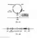 Fig. 12 - Phage-mediated manipulation of 