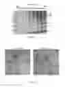 Fig. 02 - Plant-produced chimaeric Orbivirus VLPs