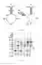 Fig. 06 - Particles coated with catalysts useful for splicing nucleic acids