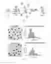 Fig. 09 - Particles coated with catalysts useful for splicing nucleic acids
