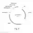 Fig. 08 - Optimal soybean loci