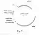 Fig. 09 - Optimal soybean loci