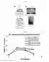 Fig. 05 - Compositions and methods for microbial co-culture
