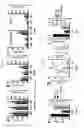 Fig. 12 - Compositions and methods for microbial co-culture