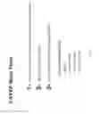 Fig. 06 - Ultra-Sensitive Platform for Nucleic acid detection using a novel method, Scanning Digital polymerase chain reaction  (PCR)