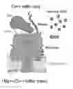 Fig. 01 - Method and system of nanopore-based information encoding