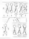 Fig. 04 - Loading extended polymerase-nucleic acid complexes