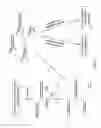 Fig. 05 - Loading extended polymerase-nucleic acid complexes