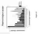Fig. 20 - Loading extended polymerase-nucleic acid complexes