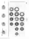 Fig. 22 - Loading extended polymerase-nucleic acid complexes
