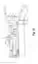 Fig. 09 - Locking assembly for a telescoping ladder