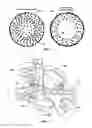 Fig. 06 - Earth boring tools having fixed blades and varying sized rotatable cutting structures and related methods