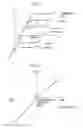 Fig. 04 - Exhaust purification system of internal combustion engine