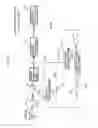 Fig. 05 - Exhaust purification system of internal combustion engine
