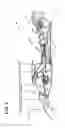 Fig. 03 - Power transmission system and gas turbine engine comprising the same