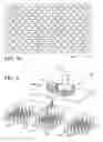 Fig. 07 - Protein array for converting chemical energy into mechanical energy