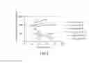 Fig. 06 - Light load abnormality determination method for electric oil pump