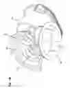 Fig. 19 - SIMPLIFIED ROOTS-TYPE BLOWER