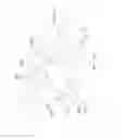 Fig. 22 - Screw-type fastener