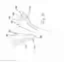 Fig. 30 - Screw-type fastener
