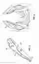 Fig. 06 - Concealed weapon holster harness and cover