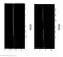 Fig. 09 - System and method of surface inspection of an object using mulitplexed optical coherence tomography