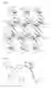 Fig. 06 - Guest-compound-enveloping polymer-metal-complex crystal, method for producing same, method for preparing crystal structure analysis sample, and method for determining molecular structure of organic compound