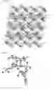 Fig. 12 - Guest-compound-enveloping polymer-metal-complex crystal, method for producing same, method for preparing crystal structure analysis sample, and method for determining molecular structure of organic compound