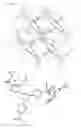 Fig. 15 - Guest-compound-enveloping polymer-metal-complex crystal, method for producing same, method for preparing crystal structure analysis sample, and method for determining molecular structure of organic compound