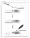 Fig. 16 - Guest-compound-enveloping polymer-metal-complex crystal, method for producing same, method for preparing crystal structure analysis sample, and method for determining molecular structure of organic compound