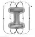 Fig. 01 - Organic toroidal array apparatus of making for direct and reagent-free sensing of the endotoxin activities of a single cell