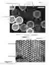 Fig. 15 - DEVICE AND METHOD FOR CELL-BASED DRUG SCREENING