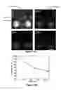 Fig. 16 - DEVICE AND METHOD FOR CELL-BASED DRUG SCREENING
