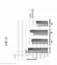 Fig. 13 - HIGH THROUGHPUT SCREENING OF AGENTS ON DOPAMINERGIC NEURONS