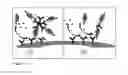 Fig. 11 - Sample depletion and enrichment to improve the quality of diagnostic test results