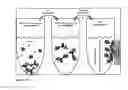 Fig. 14 - Sample depletion and enrichment to improve the quality of diagnostic test results